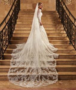 Wedding dress with long veil, Maryland, Prom Dresses, Baltimore, Plus Size